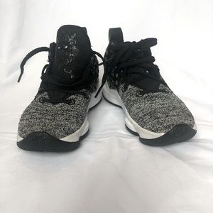 LeBron James Nike Kids Sneakers with Lion